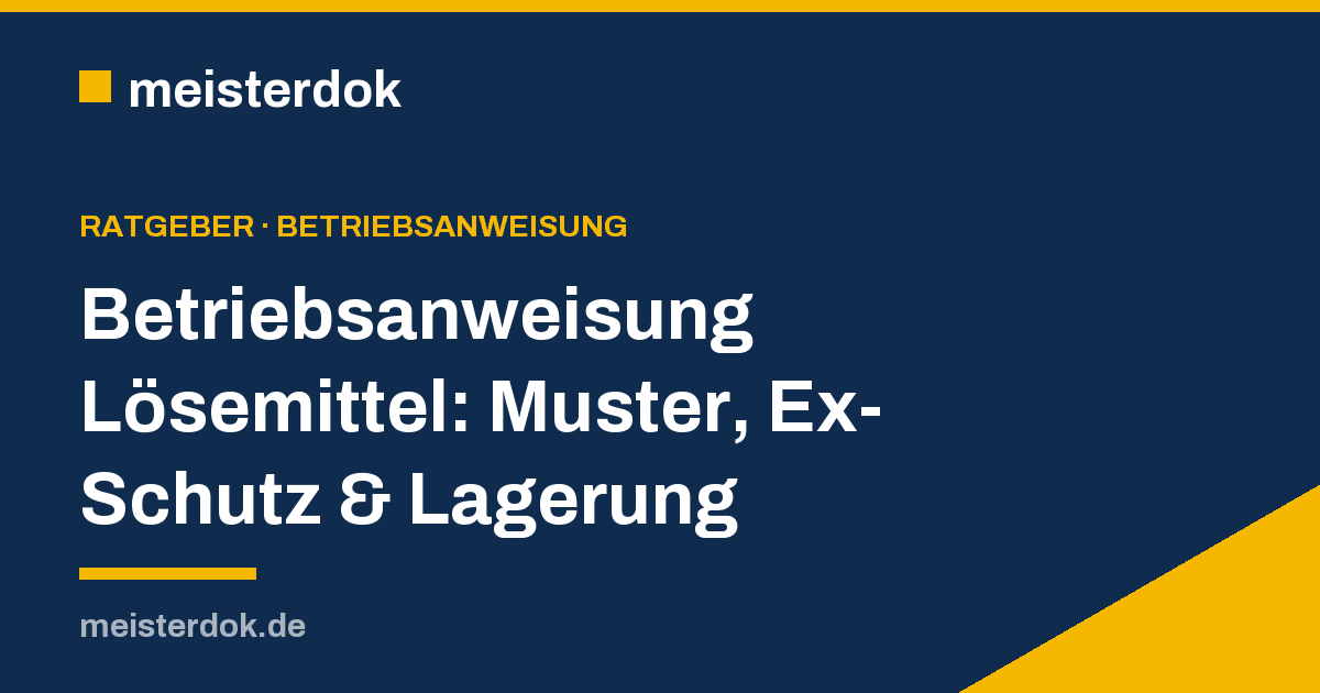 Betriebsanweisung Lösemittel: Muster, Ex-Schutz & Lagerung